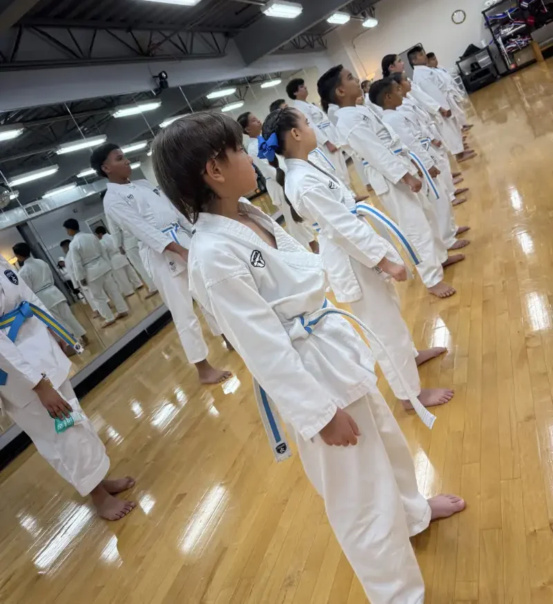 Belt promotion